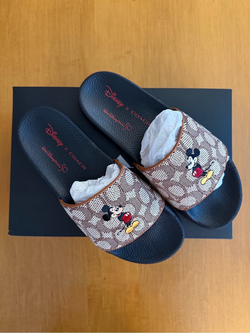 COACH x DISNEY Slides